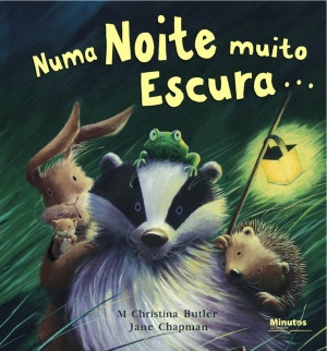 Capa do livro «Numa Noite muito Escura»