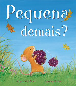 capa do livro