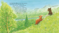 imagem do interior do livro
