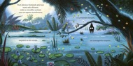 imagem do interior do livro