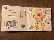 imagem do interior do livro