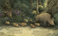 imagem do interior do livro