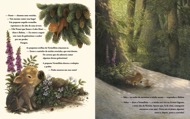 imagem do interior do livro