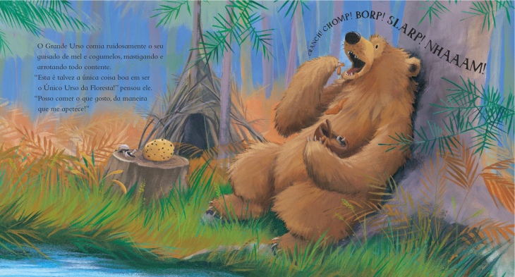 imagens do interior do livro